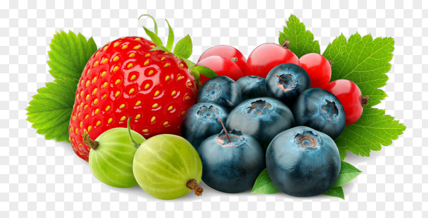 Blueberry Redcurrant Gooseberry Blackcurrant PNG