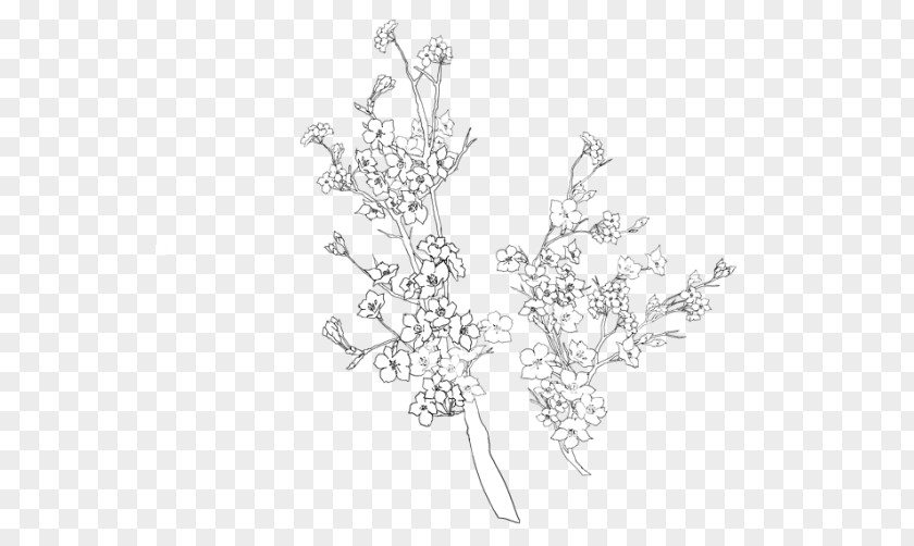 Flower Artificial Drawing Doodle Blossom PNG