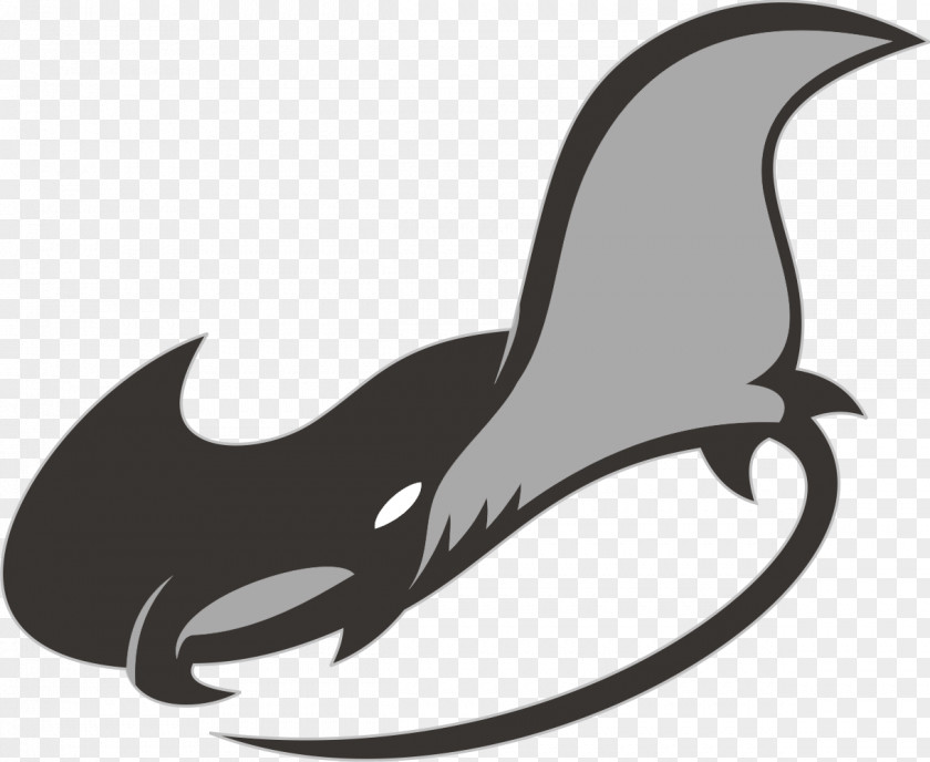 Ikan Koi Giant Oceanic Manta Ray Batoidea PNG