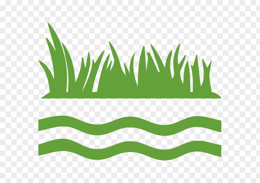 Lac Des Quatre Cantons Clip Art Meadow Grasses Leaf Angle PNG