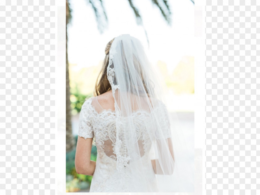 Marchesa Wedding Dress Shoulder Gown Veil PNG