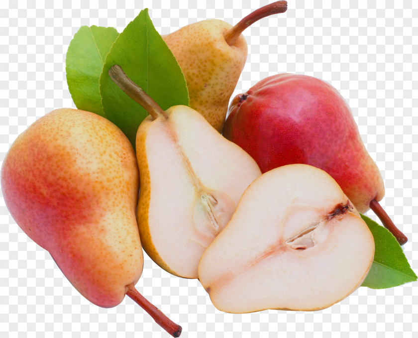 Pear European Pyrus Nivalis Fruit PNG