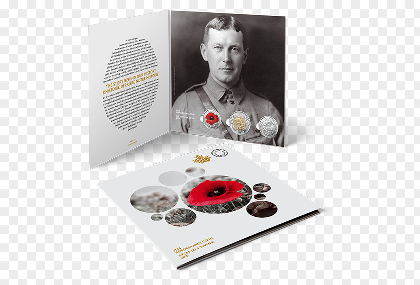 Poppy Field John McCrae: Beyond Flanders Fields In The Day Of Beast PNG