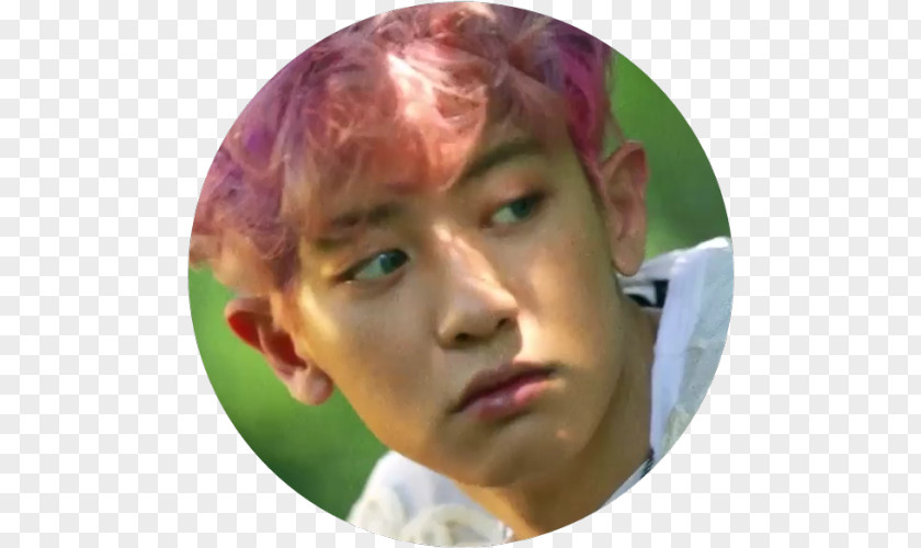 Seo Hyelin Chanyeol Ko Bop EXO The War Universe PNG