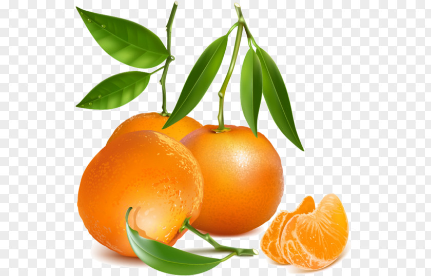 Tangelo Orange PNG