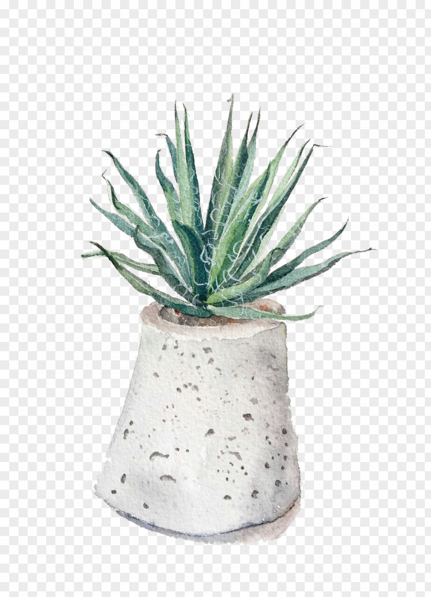 Aloe Potted Pull Creative Hand-painted Free Vera Euclidean Vector Gratis PNG