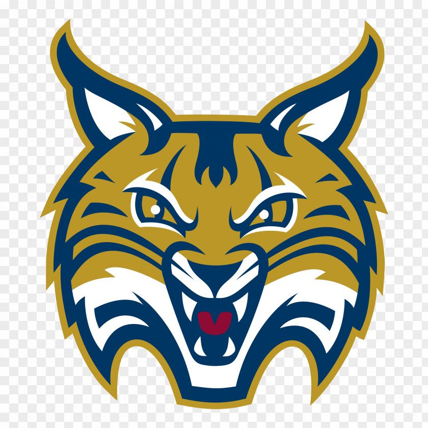 Basketball Quinnipiac University Bobcats Men's Baseball Women's Ice Hockey PNG