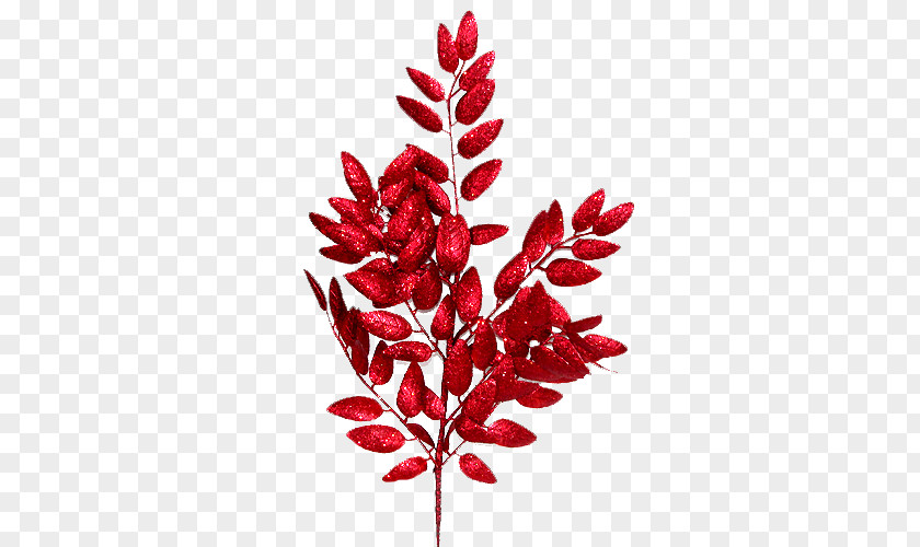 Christmas Flower Twig Plant Stem Leaf PNG