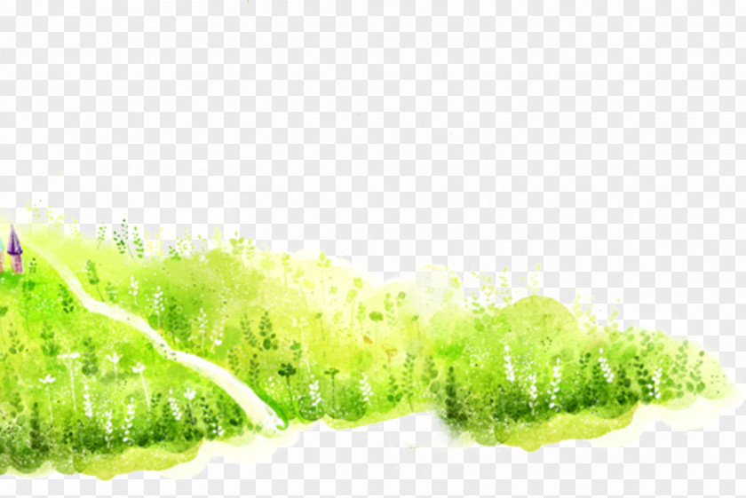 Grass Background Drawing Clip Art PNG