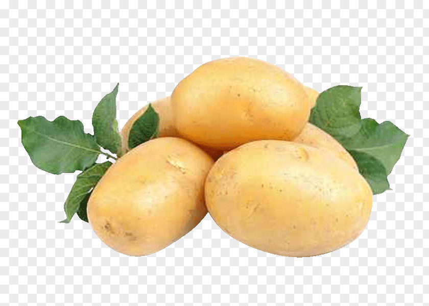 Lemon Yukon Gold Potato Natural Foods Tuber PNG