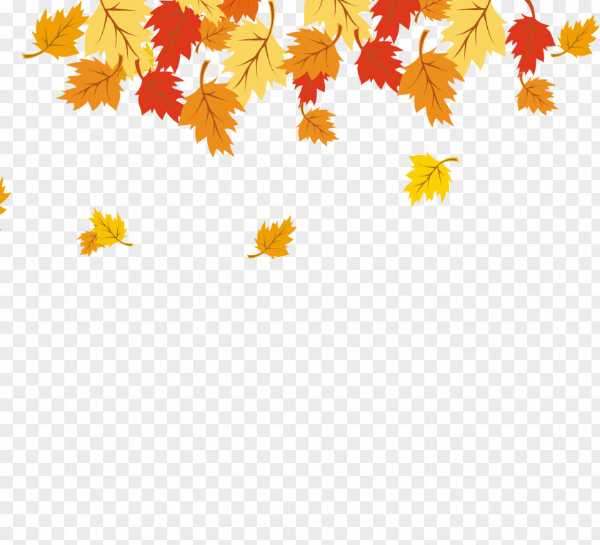 Maple Leaf Yellow PNG
