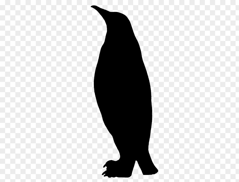 Penguin Clip Art Fauna Silhouette Beak PNG