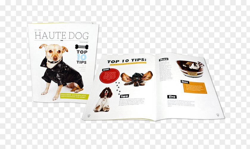 Book Brochure Printing Dog PNG