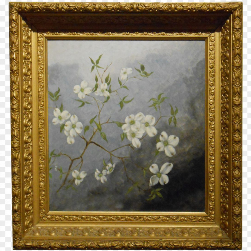 Decorative Paintings Oil Painting Picture Frames Still Life PNG