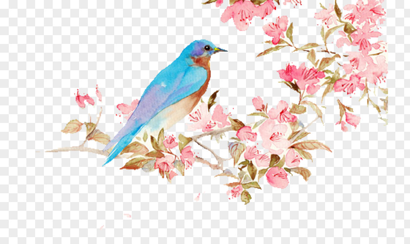 Blue Bird PNG