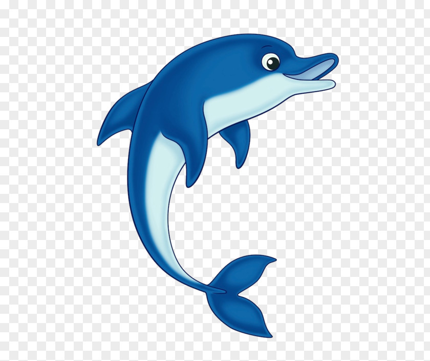 Dolphin Clip Art Common Bottlenose Openclipart Cetacea PNG