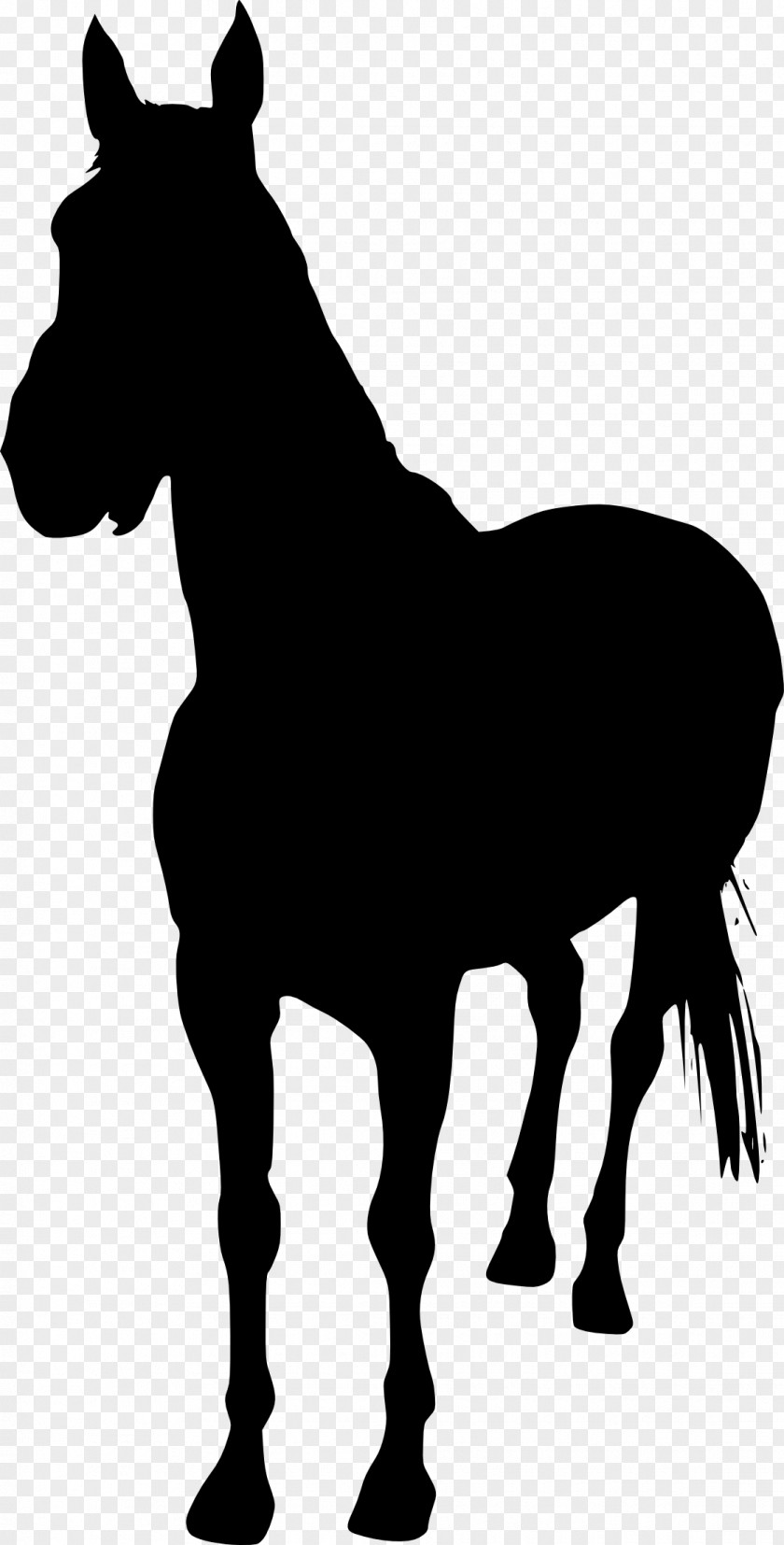Headless Horseman Unicorn Silhouette Clip Art PNG