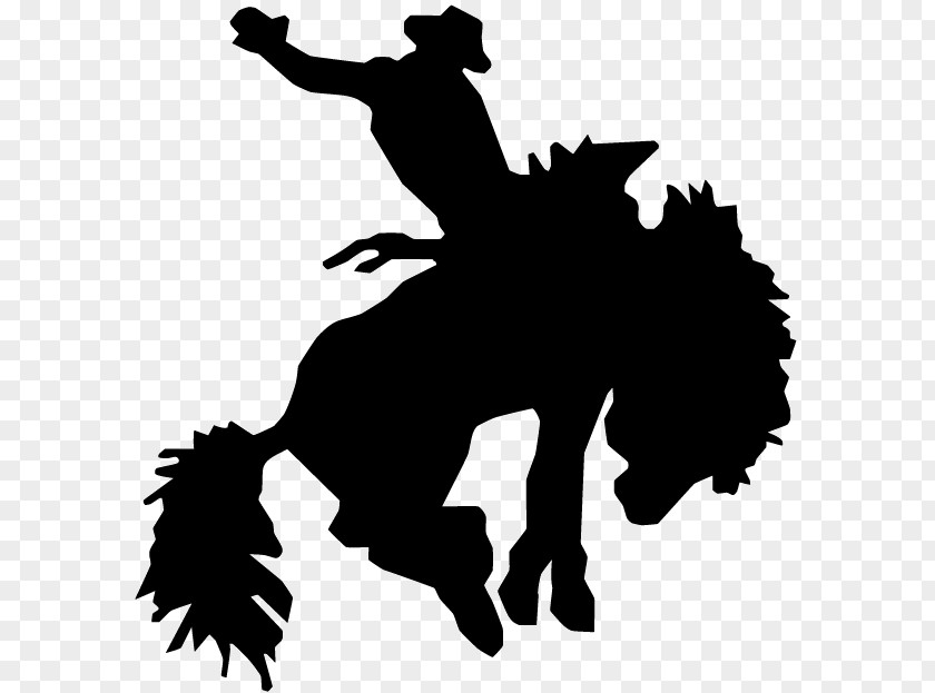 Horse Save A (Ride Cowboy) T-shirt Equestrian Rodeo PNG