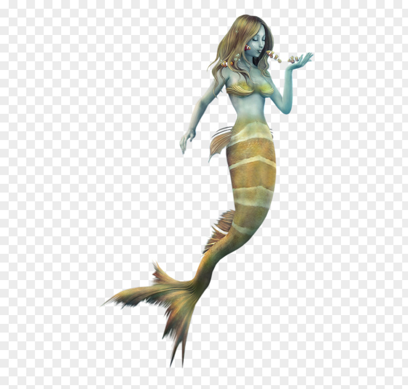Mermaids Mermaid Siren .de PNG