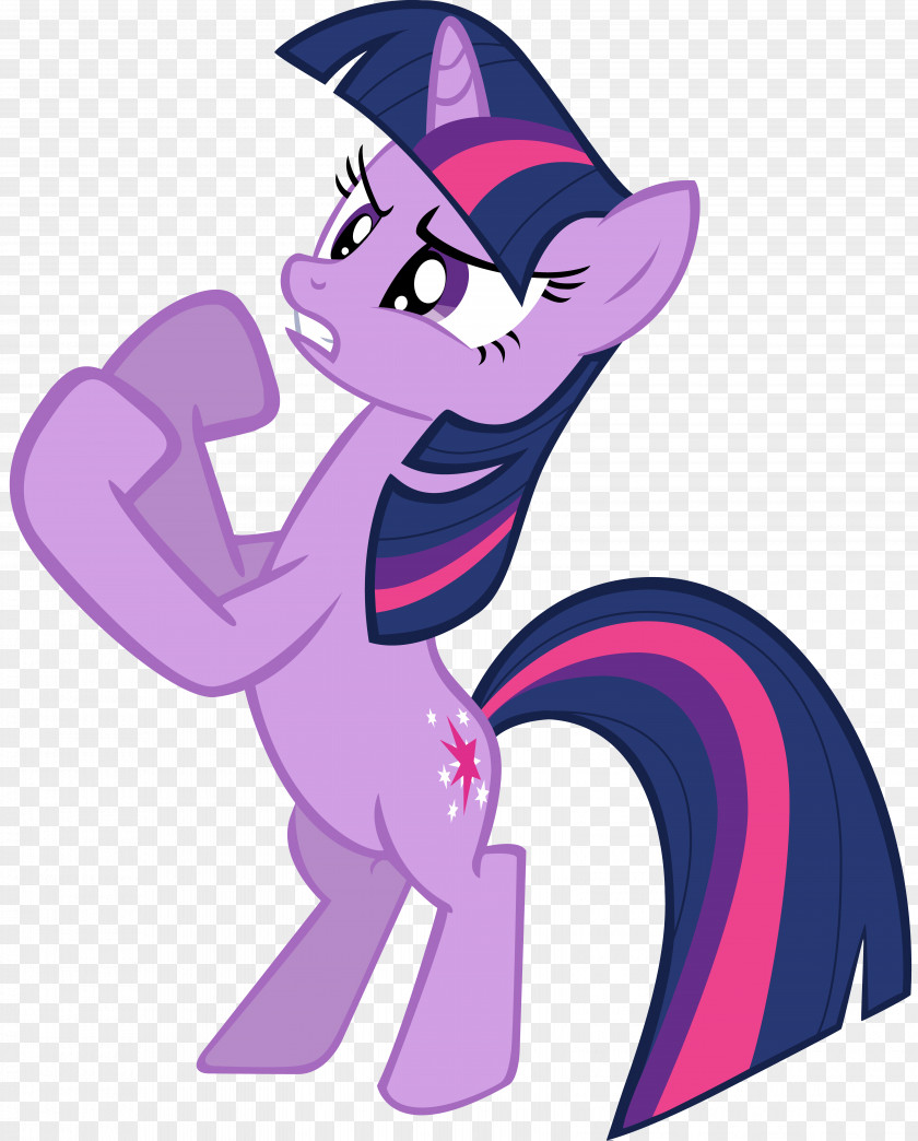 My Little Pony Twilight Sparkle Rainbow Dash Equestria Winged Unicorn PNG