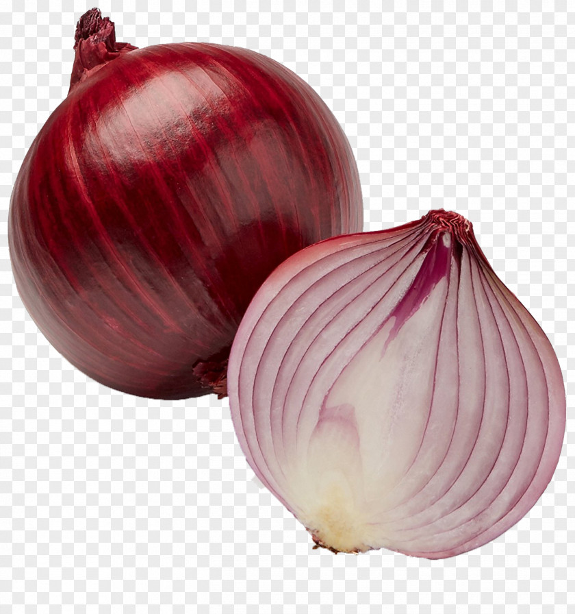 Onions Pakora Bhaji French Onion Soup Ring Chutney PNG