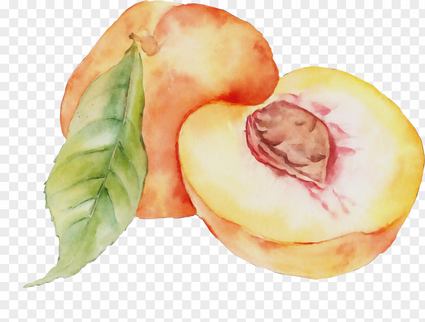 Peach Food Plant Fruit Watercolor Paint PNG