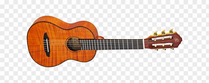 Amancio Ortega Fender Mustang Jaguar Classical Guitar Acoustic PNG
