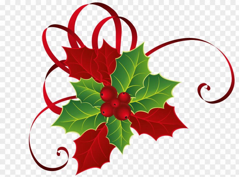 Christmas Red Green Mistletoe Picture Clip Art PNG