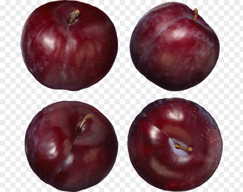 Plum Fruit Clip Art PNG