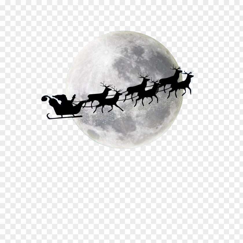 Santa Elk Sled Claus's Reindeer Christmas Moon PNG