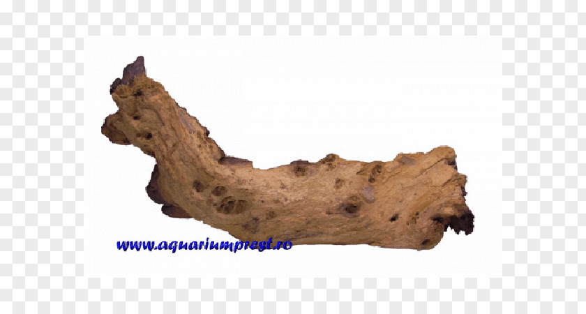 Wood Decoration Driftwood Jaw PNG