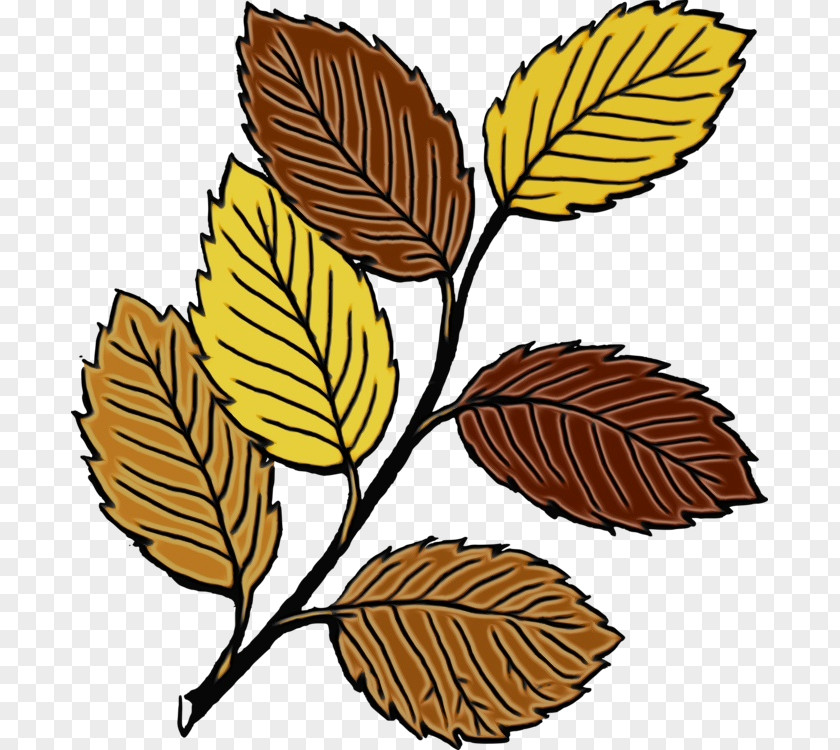 Leaf Drawing Cartoon Plant Stem Logo PNG