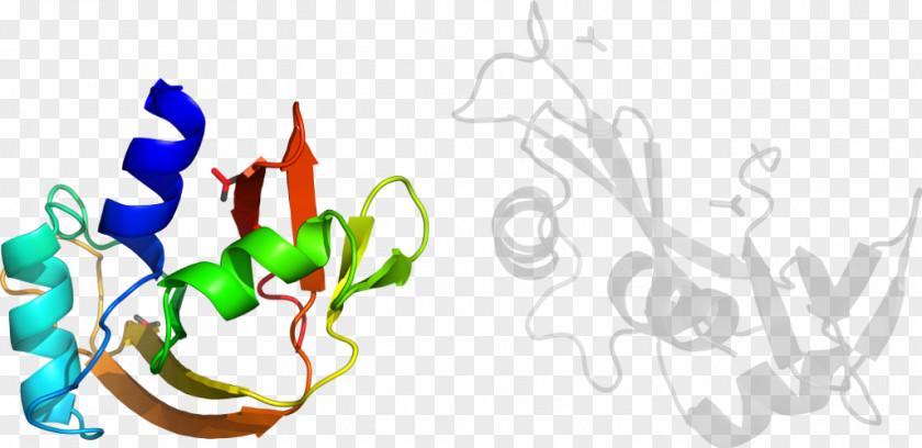 Leaf Graphic Design Plant Stem Clip Art PNG