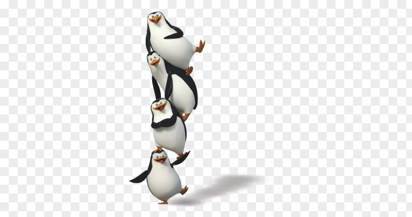 Madagascar Penguins PNG penguins clipart PNG