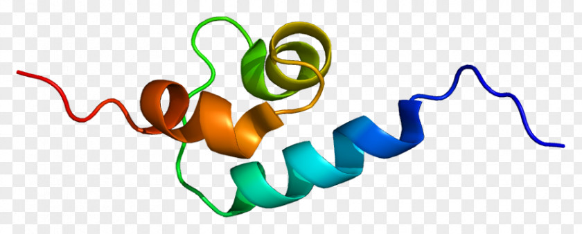 Sequestosome 1 RIPK1 Knockout Mouse Protein Gene PNG