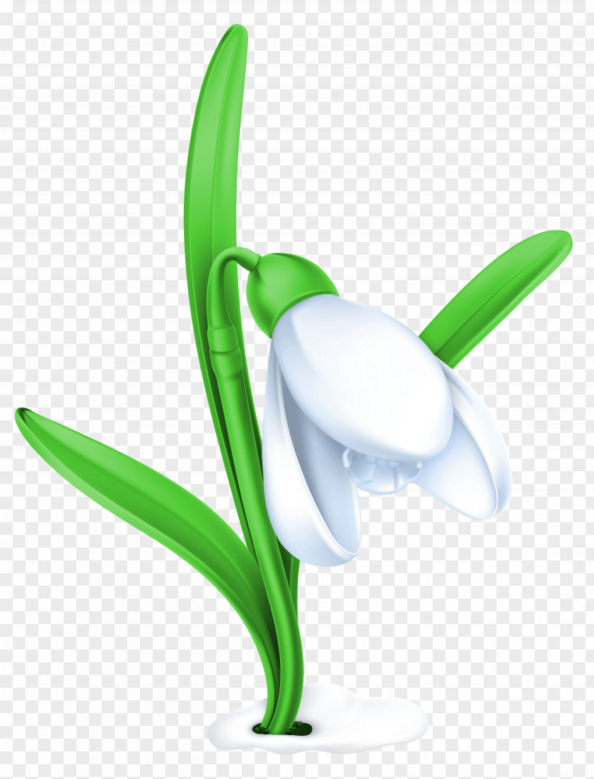 Snow Flower Cliparts Snowdrop Clip Art PNG