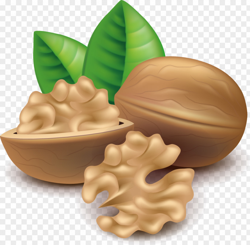 Walnut Mixed Nuts Cashew Clip Art PNG