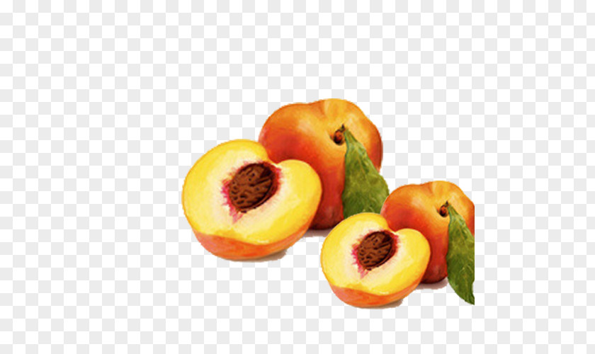 Fresh Peach Fruit Download Computer File PNG