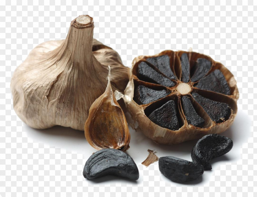 Health Black Garlic Solo Fettuccine Alfredo Food PNG