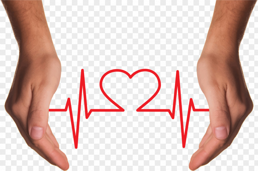 Healthy Heart Hand Clip Art PNG
