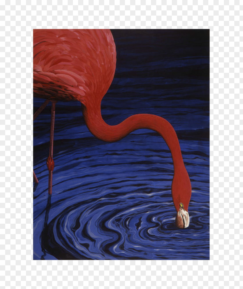 Painting Composition Art Bird PNG