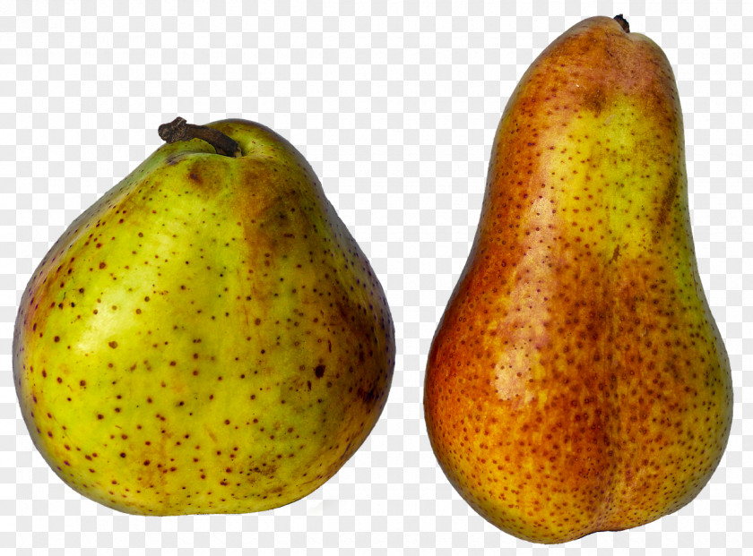 Pear European Asian Fruit Kolach Pome PNG