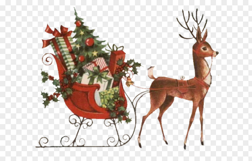 Reindeer Christmas Ornament Antler Wildlife PNG