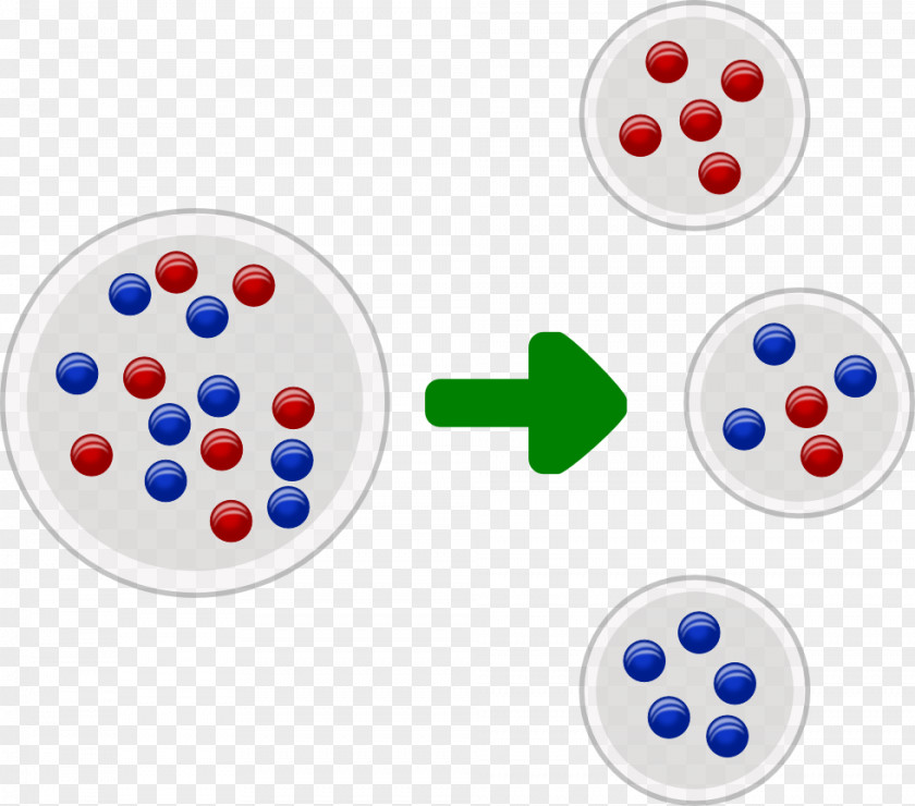 Teeth Icon Founder Effect Population Bottleneck Genetics Genetic Variability PNG