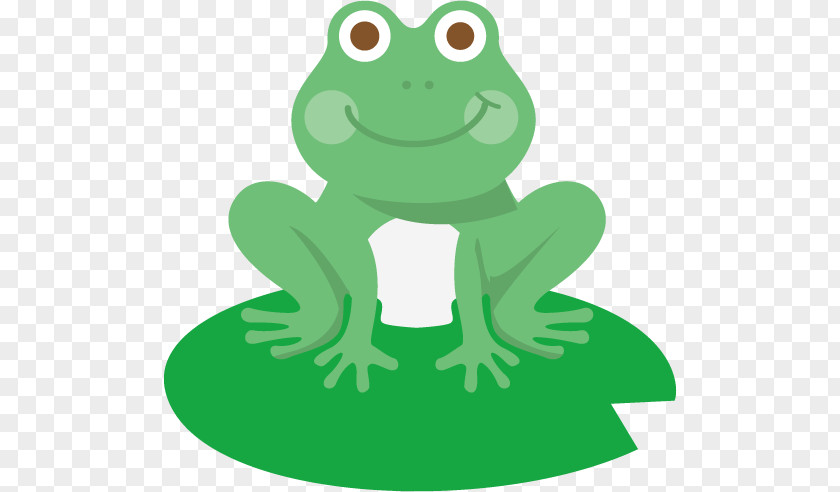 Toad True Frog Illustration Tree PNG