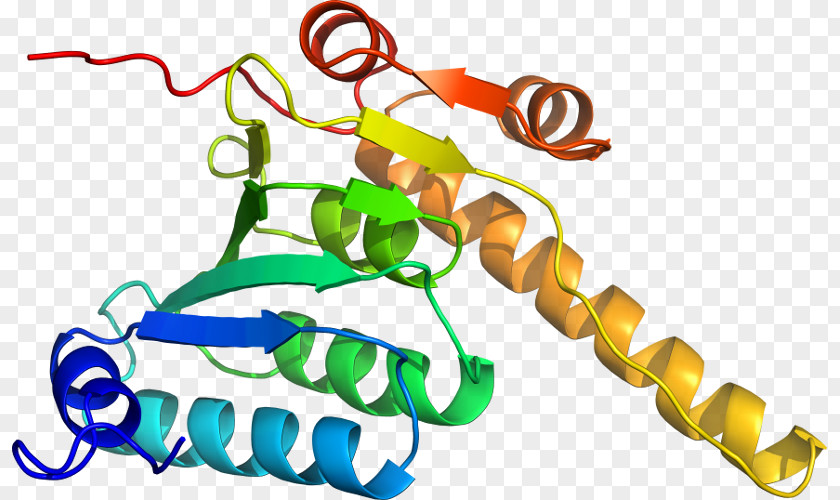 Atom Model Timeline Clip Art Organism Line Body Jewellery PNG