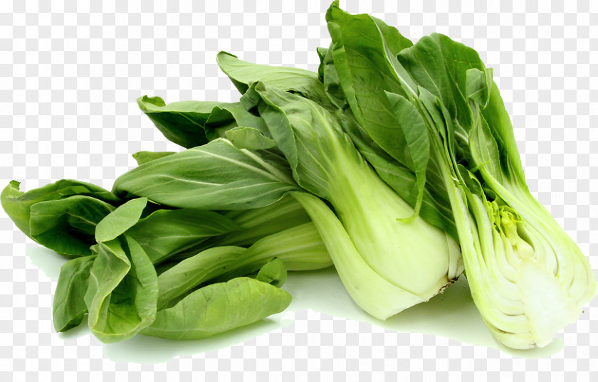 Bok Choy Photos Chinese Cabbage Vegetable Sum Food PNG