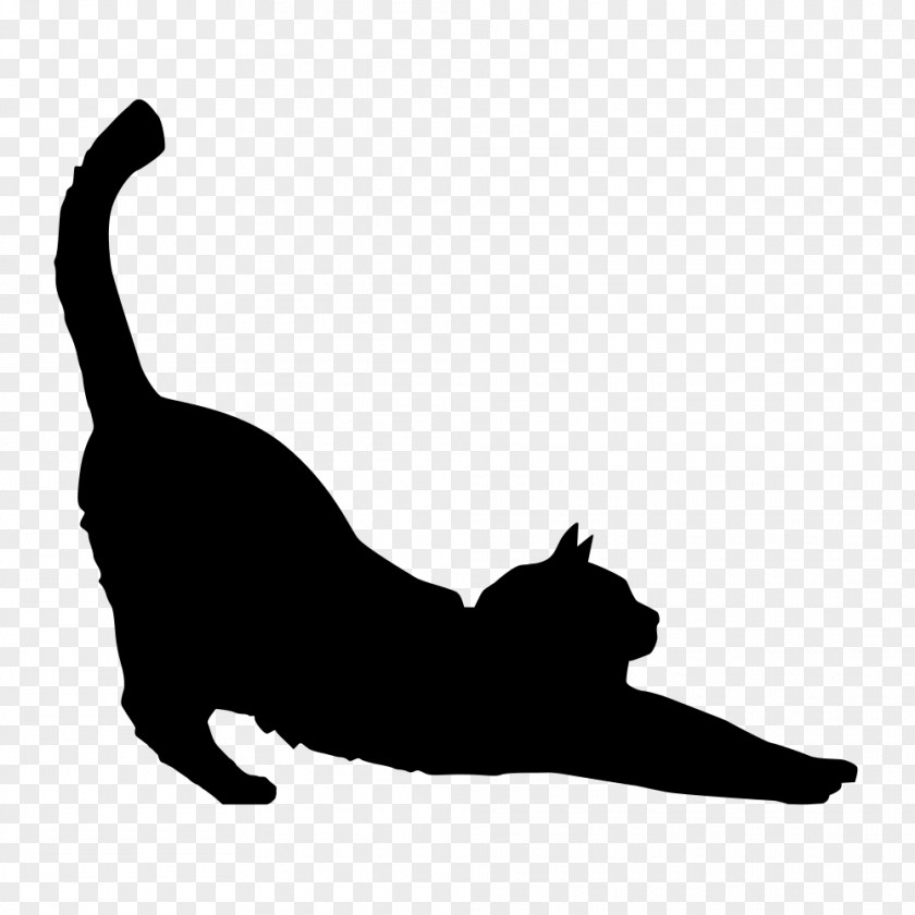 Cat Vector Black Silhouette Kitten Clip Art PNG