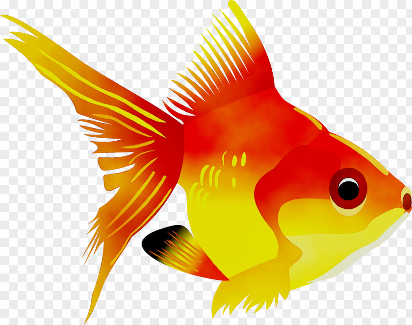 Color By Number Fish Coloring Book Goldfish Sea Creatures Chamy PNG