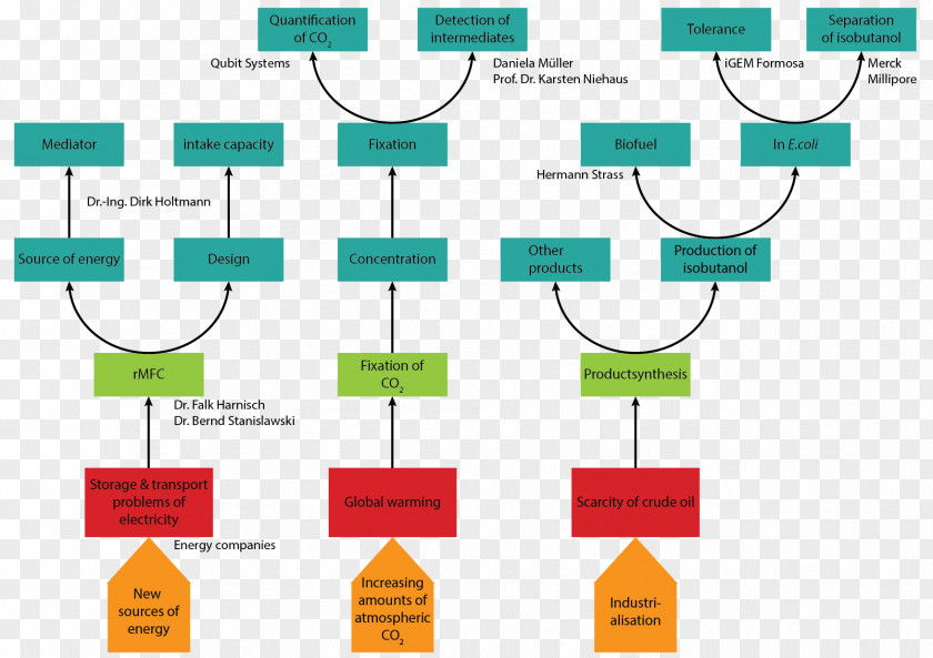 Design Issue Tree Project Problem Solving Analysis PNG